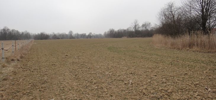 Obwieszczenie o pierwszej licytacji nieruchomości w Strażowie